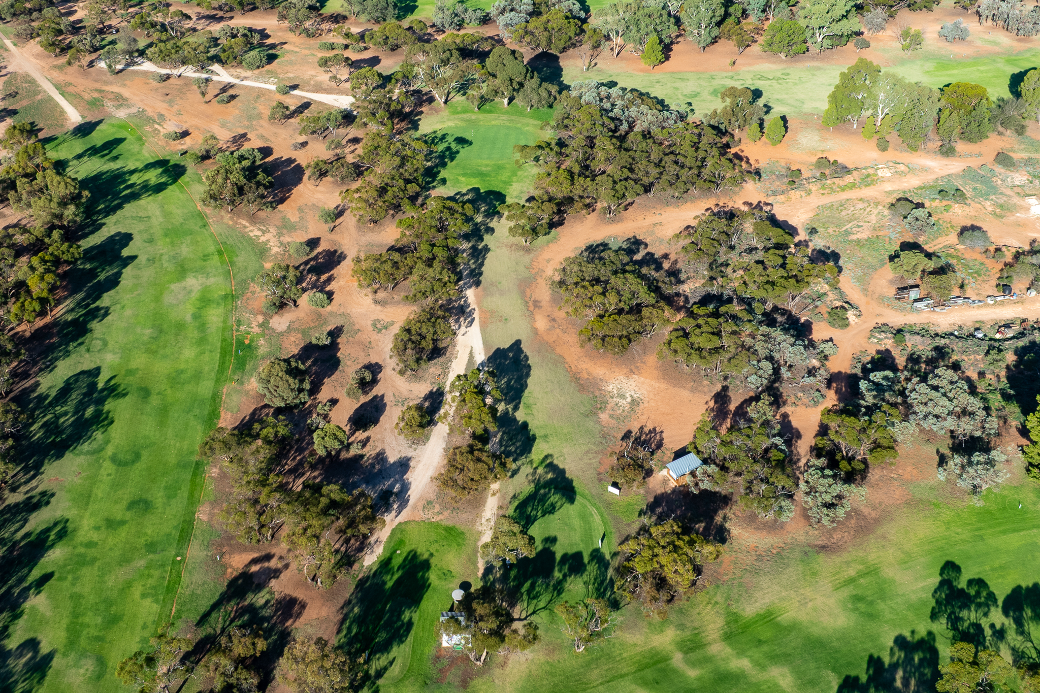 Berri Golf Club - Hole #6