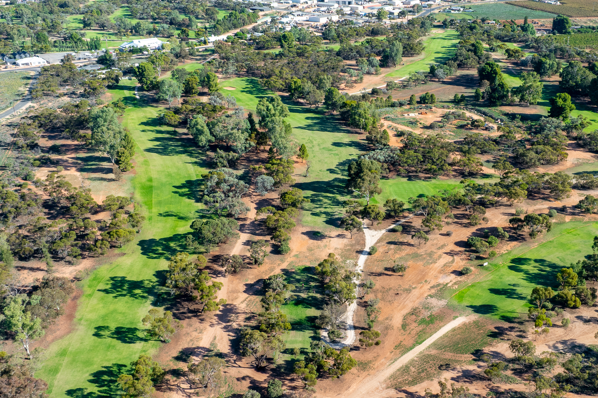 Berri Golf Club - Hole #7