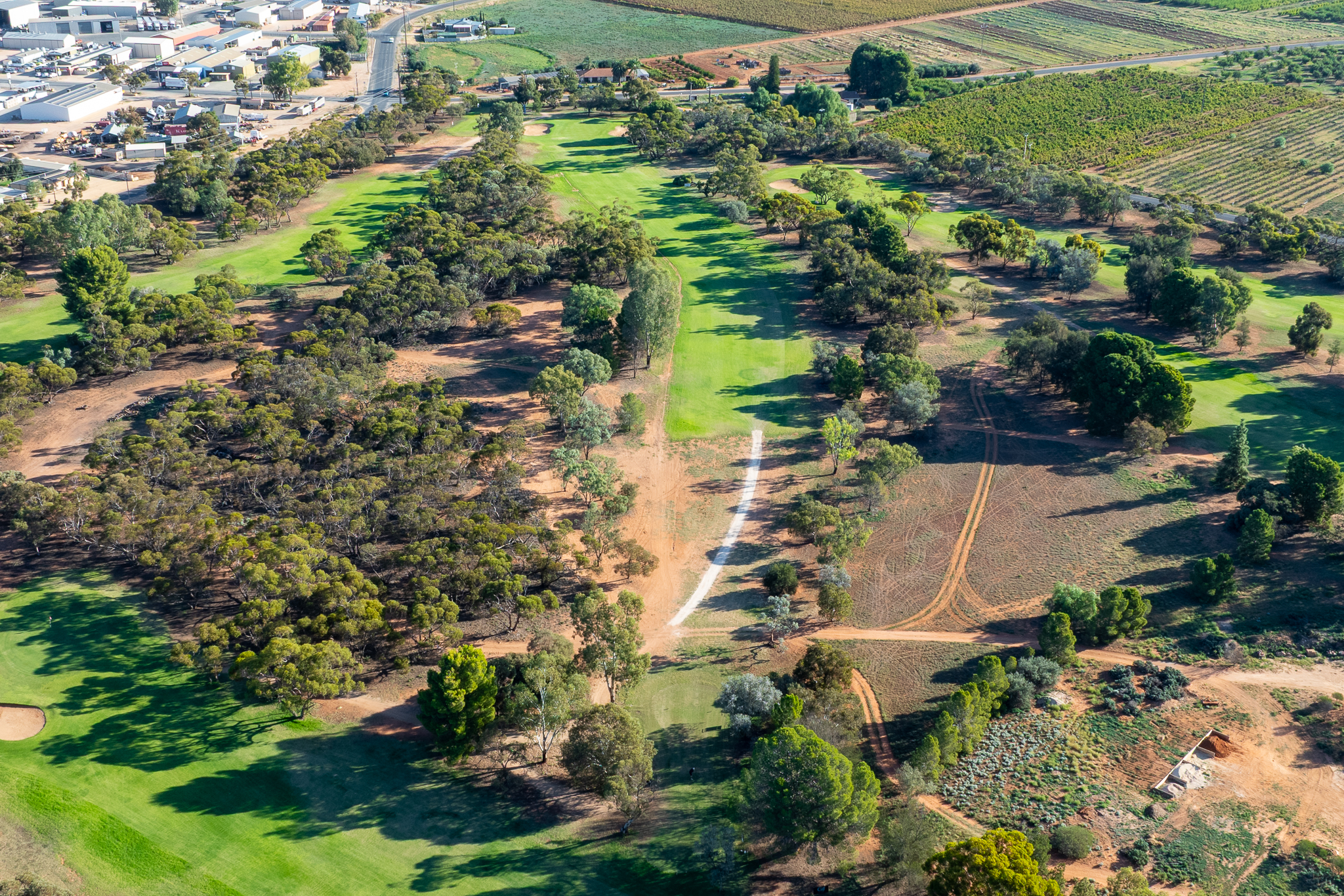 Berri Golf Club - Hole #8